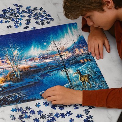 Puzzle 1000 pièces | Passion Famille - PLAY JOUET